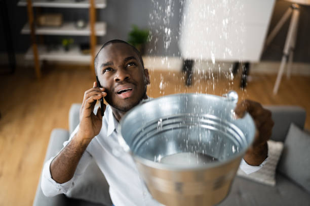 Best Ceiling water damage repair  in Lawrenceburg, TN
