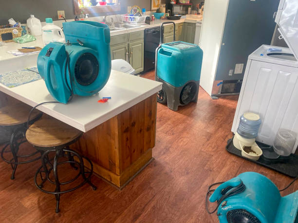 Best Water damage contractors near me  in Lawrenceburg, TN