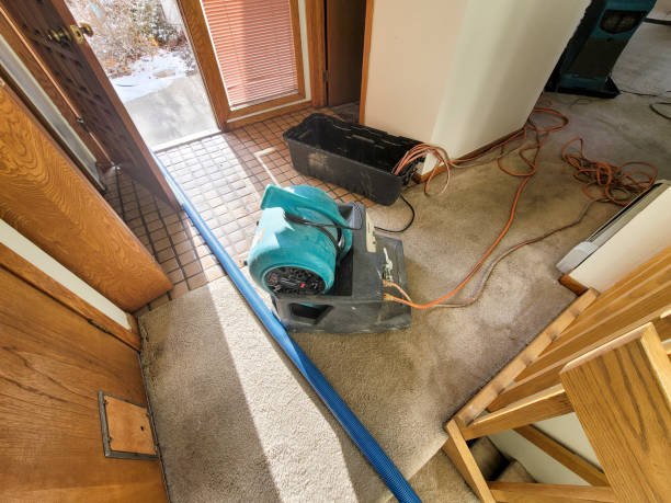 Best Professional water damage repair  in Lawrenceburg, TN