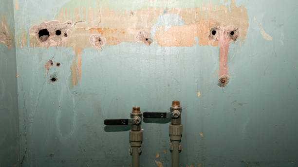 Best Water damage restoration near me  in Lawrenceburg, TN